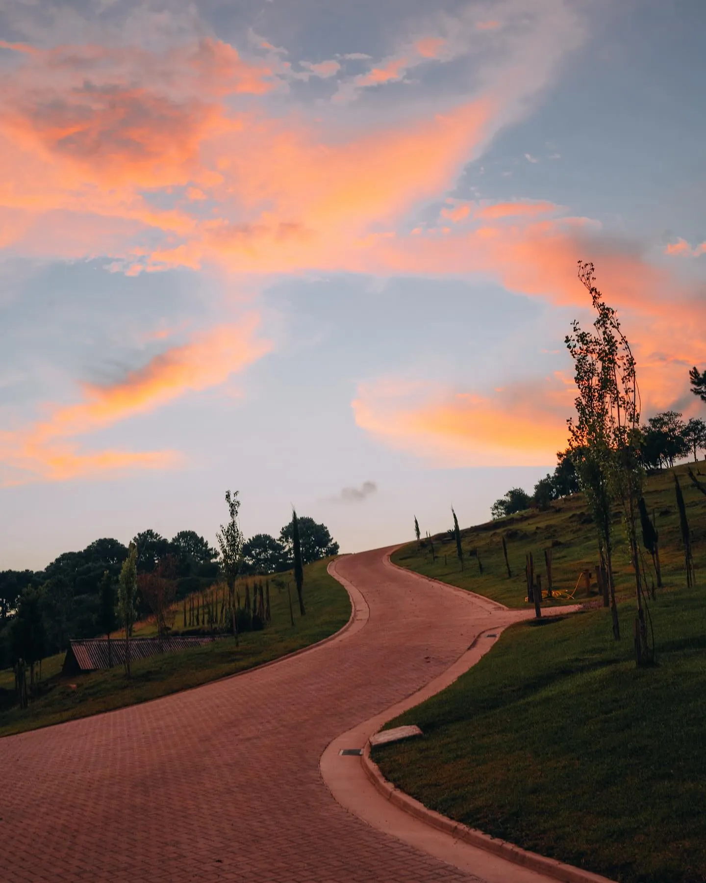Estrada em curva entre gramados sob o céu do pôr do sol